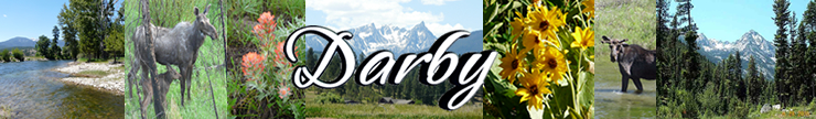 Welcome to Darby Montana